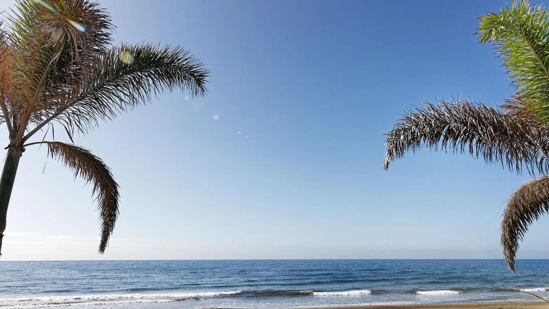 Apartmán Amapola Palms - Recien Reformado, Frente Al Mar San Agustín